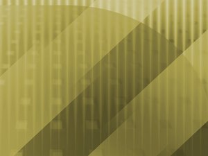 新人学深度学习最需要掌握的内容